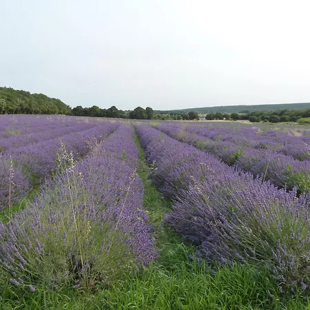 Prieure De